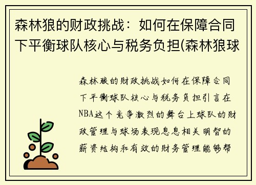 森林狼的财政挑战：如何在保障合同下平衡球队核心与税务负担(森林狼球队名单)