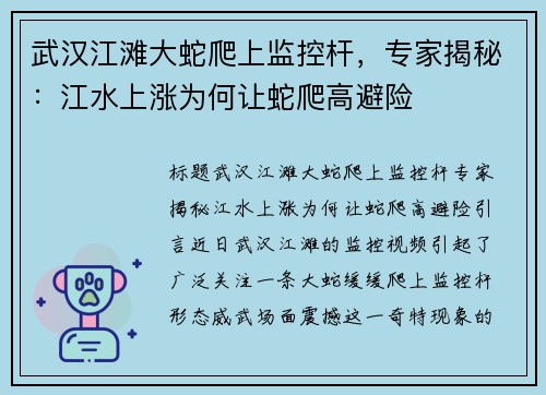 武汉江滩大蛇爬上监控杆，专家揭秘：江水上涨为何让蛇爬高避险