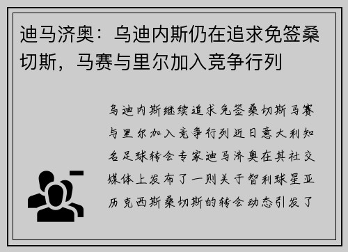 迪马济奥：乌迪内斯仍在追求免签桑切斯，马赛与里尔加入竞争行列