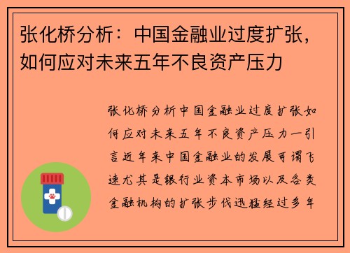 张化桥分析：中国金融业过度扩张，如何应对未来五年不良资产压力