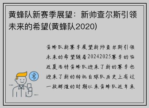 黄蜂队新赛季展望：新帅查尔斯引领未来的希望(黄蜂队2020)